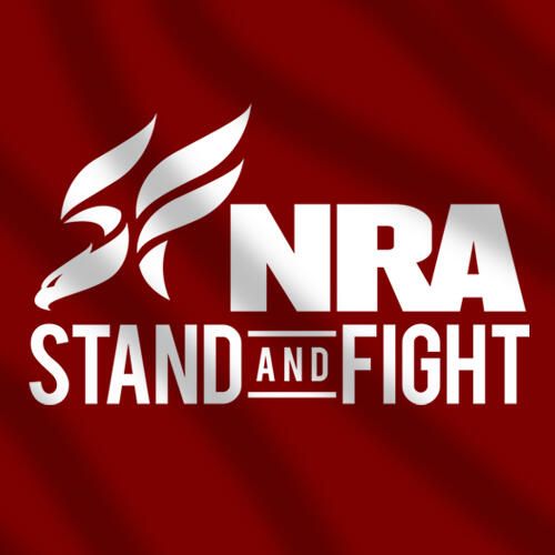 nra stand and fight msnbc 0